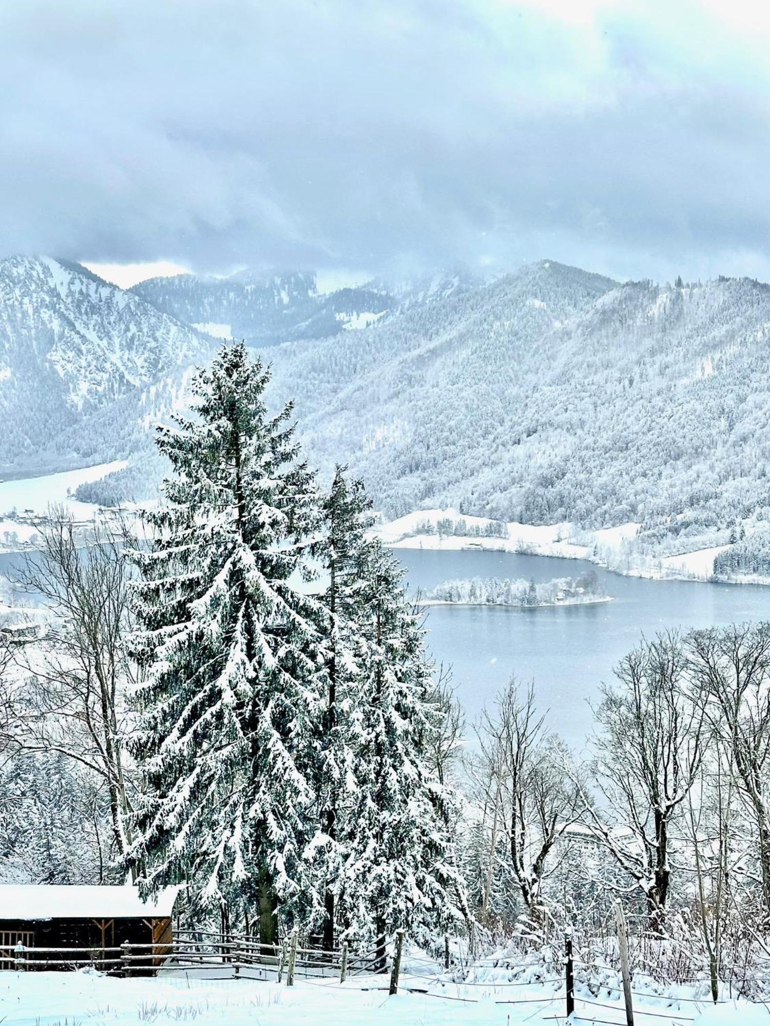 Alpenoase Schliersee - Grosse Suite Mit Sauna Oder Gemuetliche Studio Appartements Экстерьер фото